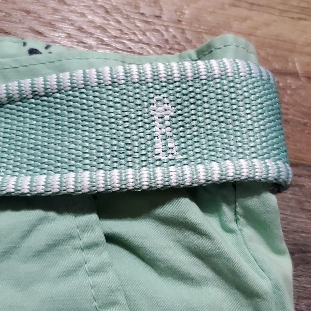 Ditch plains by Ricky Singh mint green cotton belted flat front shorts nwt